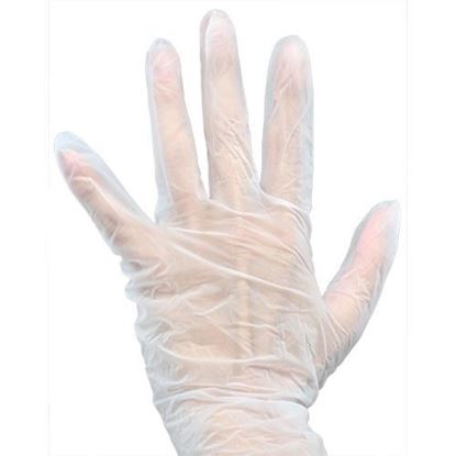 Picture of Lg Vinyl Pfree Glove 100/Bx for AllPoints Part# 99900