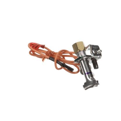 Picture of Pilot Assy Lp Gas W/24In Wire for AllPoints Part# GAR2290401