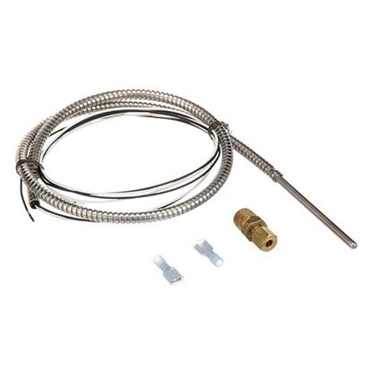 Picture of Temperature Probe  for CROWN STEAM Part# 4309-1