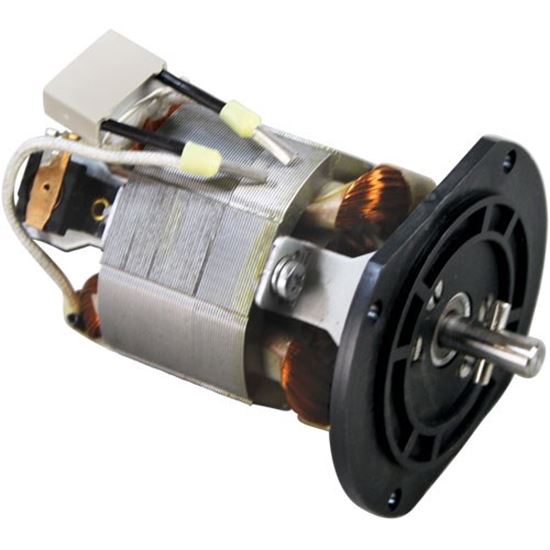 Picture of Motor And Screw  for Dynamic Mixer Part# -9507.1