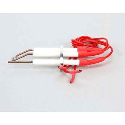 Picture of Ignitor Assembly  With Electrodes for Electrolux Part# 0C4462