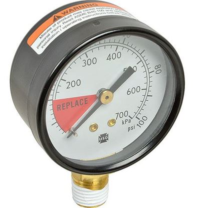 Picture of Gauge,Pressure , Costguard,All for Everpure Part# EV309440