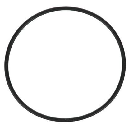 O-Ring  for Everpure Part# -3090