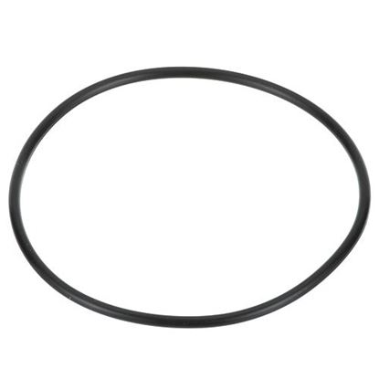 Picture of O-Ring  for Everpure Part# EV3112-40