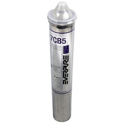 Picture of Filter Cartridge, Steamer-7Cb5 for Everpure Part# -9629