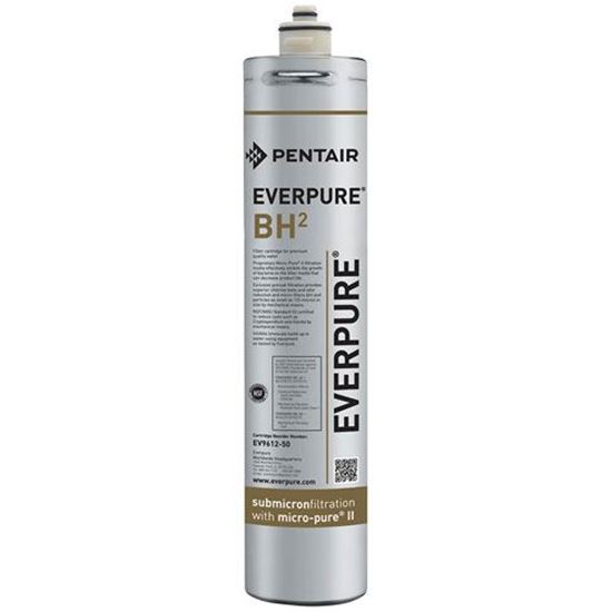 Picture of Bh Water Filter Cartridge for Everpure Part# EV9612-01