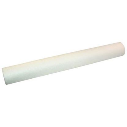 Picture of Cartridge, Water Filter -Ec210 for Everpure Part# -9554