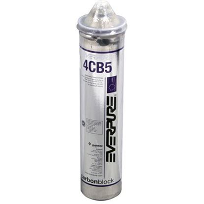 Picture of Replacement Cartridge - 4Cb5 for Everpure Part# EV9617-11