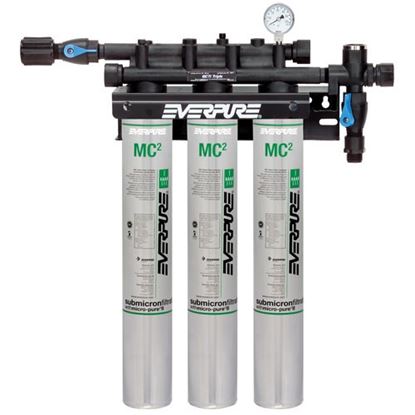Picture of Qc71 System - Triple, Mc  for Everpure Part# EV927503