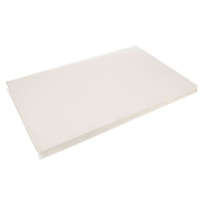 Picture of Filter 22 X 34 Fry  for Frymaster Part# FM803-0289