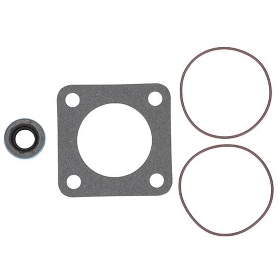Picture of Pump Seal Kit - Viking  for Frymaster Part# FM8071197