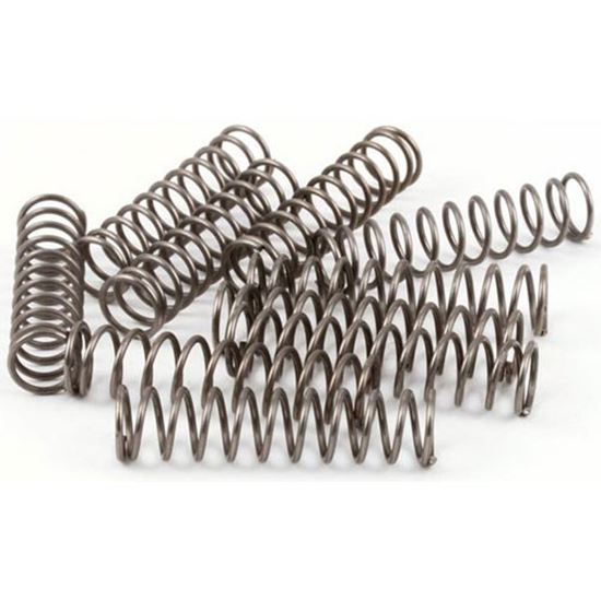 Picture of Door Spring Pk/10  for Frymaster Part# FM8261343