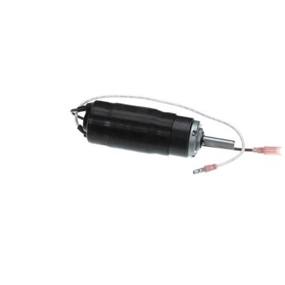 Picture of Motor Assembly  Arm Lock for Garland Part# 4605633