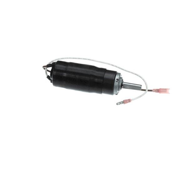 Picture of Motor Assembly  Arm Lock for Garland Part# 4605633