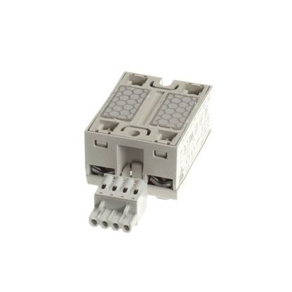 Picture of Ssr, 2 Pole  50Amp for Garland Part# 4605630