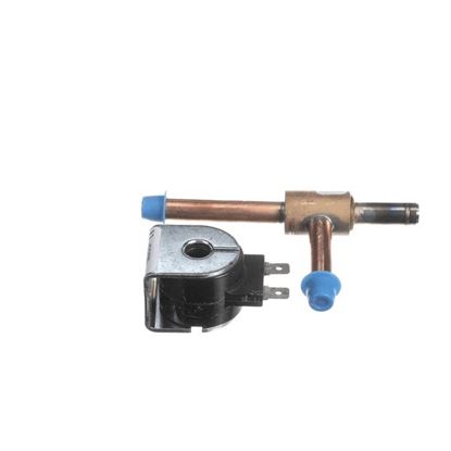 Picture of Expansion Valve Assy  Hp160 for Frozen Beverage Dispensers Part# 46-0102-0013
