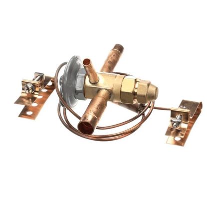 Picture of Thermo Expansion Valve R- 404A for Federal Industries Part# 32-19408